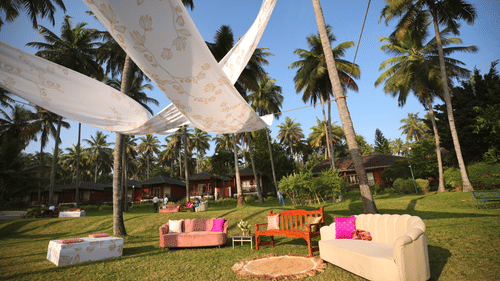 An outdoor lounge setup on a grassy lawn with several sofas and benches in various colors, beneath white fabric drapes strung between palm trees, creating a relaxed ambiance.
