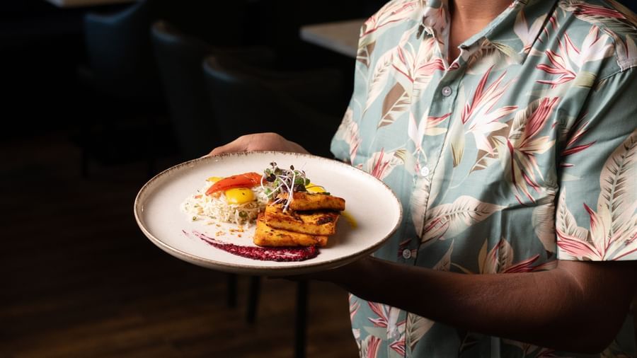 Person holds a plate with rice, vegetables, microgreens, grilled cubes, and beetroot puree garnish at V FIVE HOTEL.