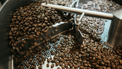 Dark brown coffee beans are being processed inside a large industrial metal roasting machine with a rotating arm.