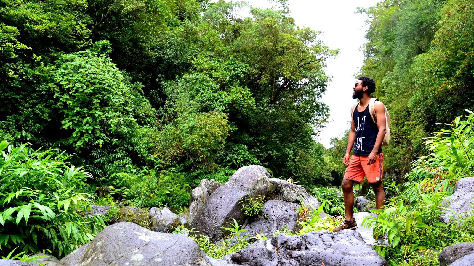 Photo of a man standing on rocks surrounded by trees.