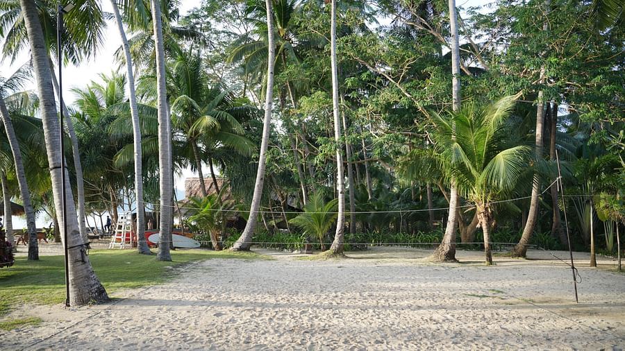 Open sandy space lined with tall coconut palm trees, perfect for outdoor activities.