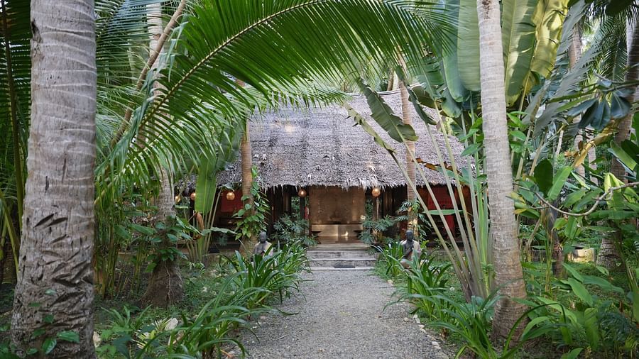 Narrow garden pathway leading to a rustic tropical hut surrounded by palm trees.