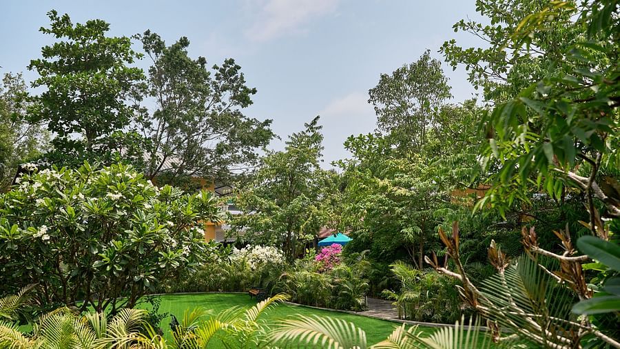 The lawn at Mayfair Manor, Alibag, is adorned with abundant plants and trees, offering a serene and refreshing retreat