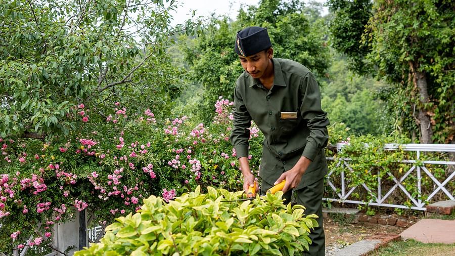 A man is shaping the garden at Te Aroha By Shervani, Mukteshwar