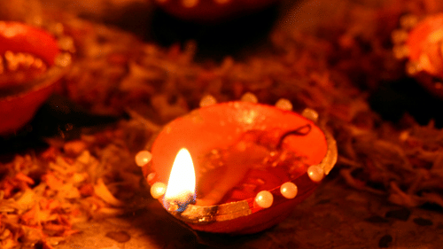 Diyas or traditional lamps lit in a row surrounded by flower petals