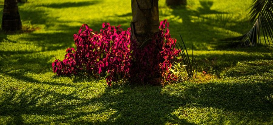 Facilities,Hamsa Villas Goa, Best Resort In Goa 26