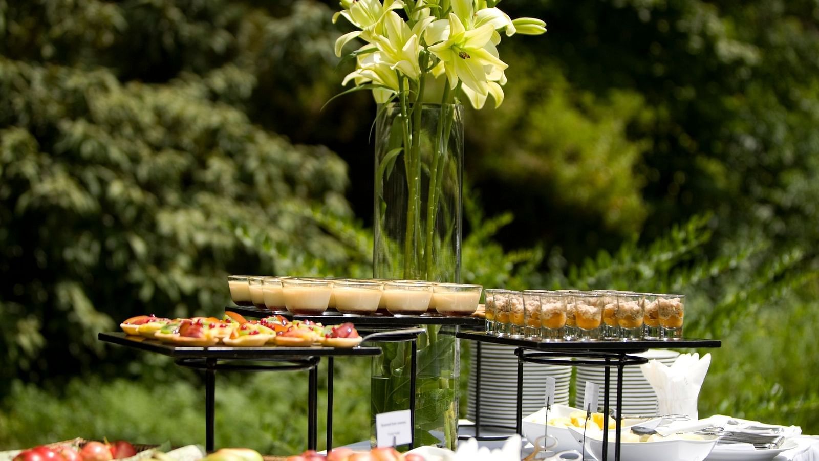 an image of a food Catering at a Lonavala restaurant and bar - Rhythm Lonavala