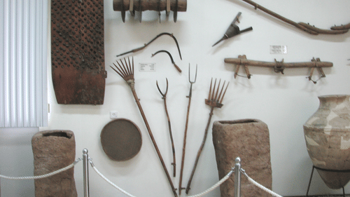 PAU Museum Park Plaza Ludhiana