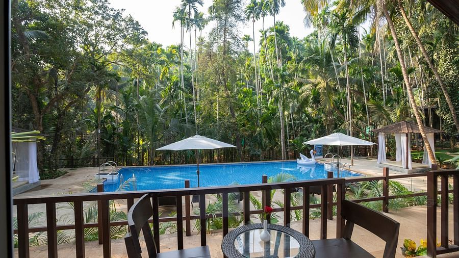 A balcony with the view of a pool surrounded by lush green trees - Stone Wood Nature Resort, Gokarna
