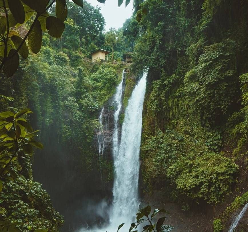 Waterfall with lush green surroundings