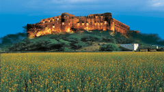 A long shot of the resort where the lawn is visible at the foreground - Hill Fort-Kesroli