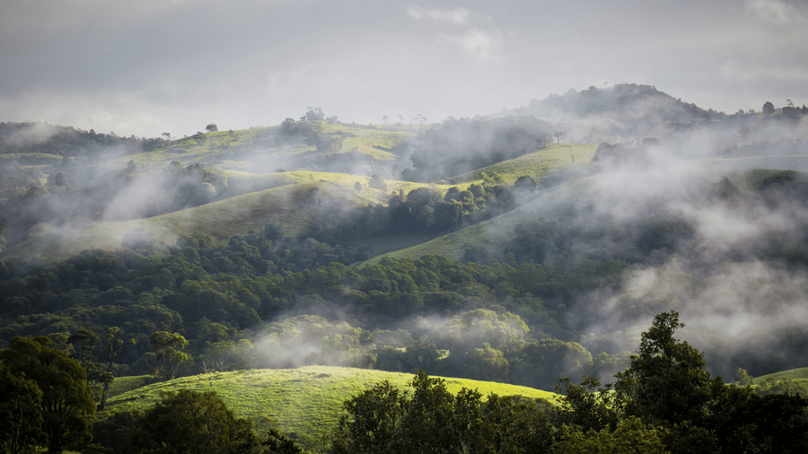 Coorg vs Sakleshpur: Which Hill Station Actually Feels Better in Summer? 