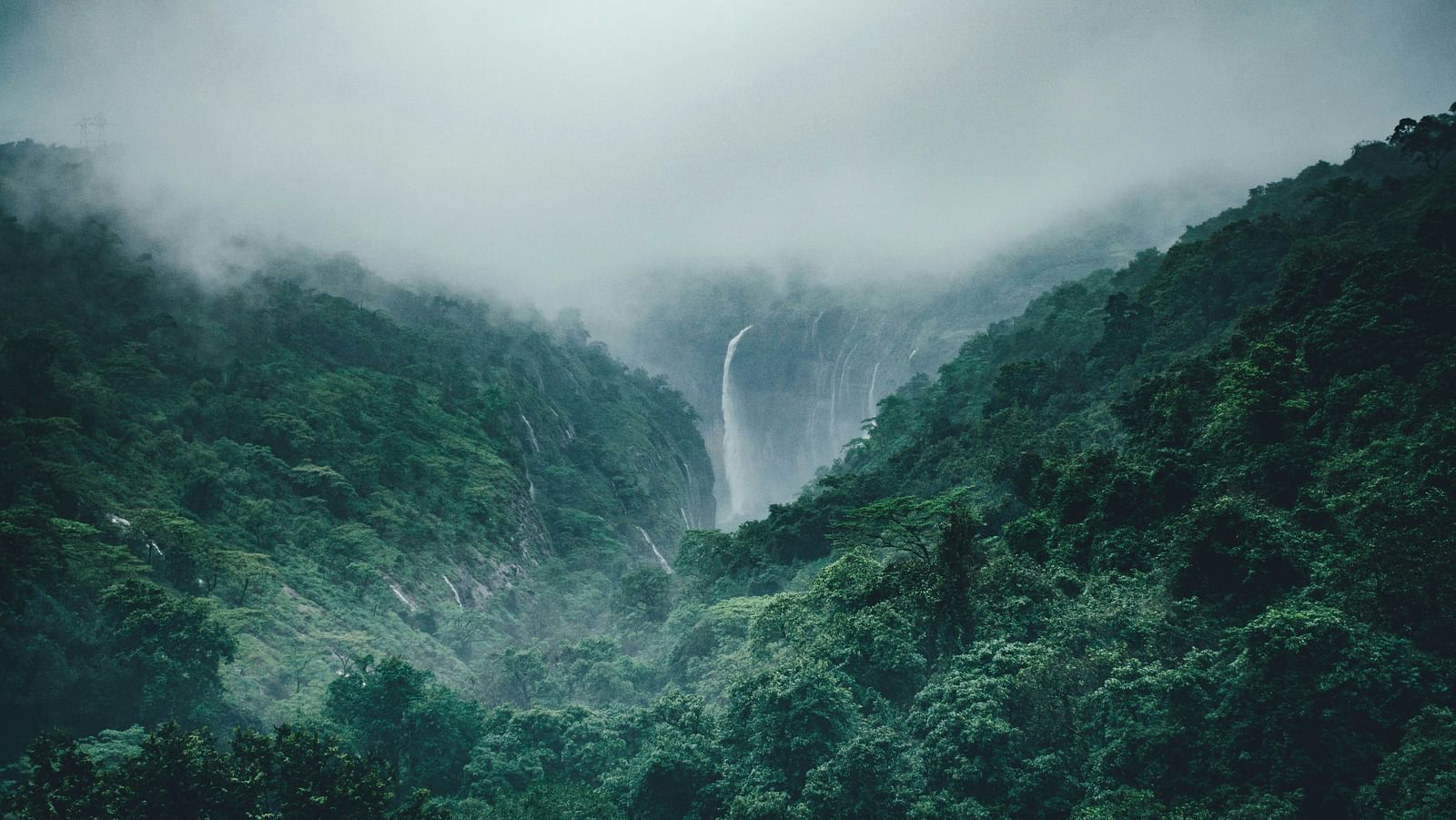 A waterfall in the background amidst lush forest with mist covering.