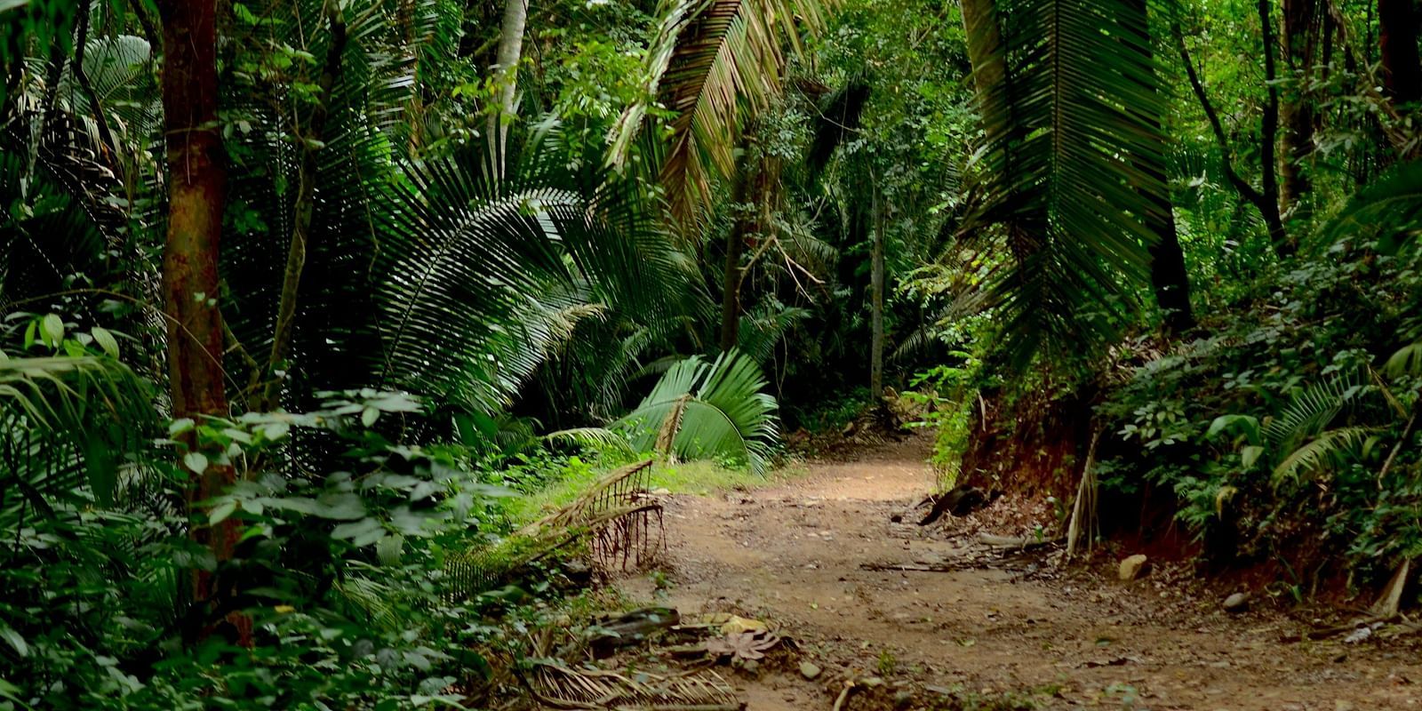 Exotic Wildlife of Havelock Island: A Nature Lover’s Paradise