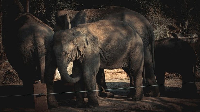 sameer-srivastava-PfemO8YcQRM-unsplash