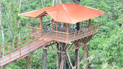 Tree House