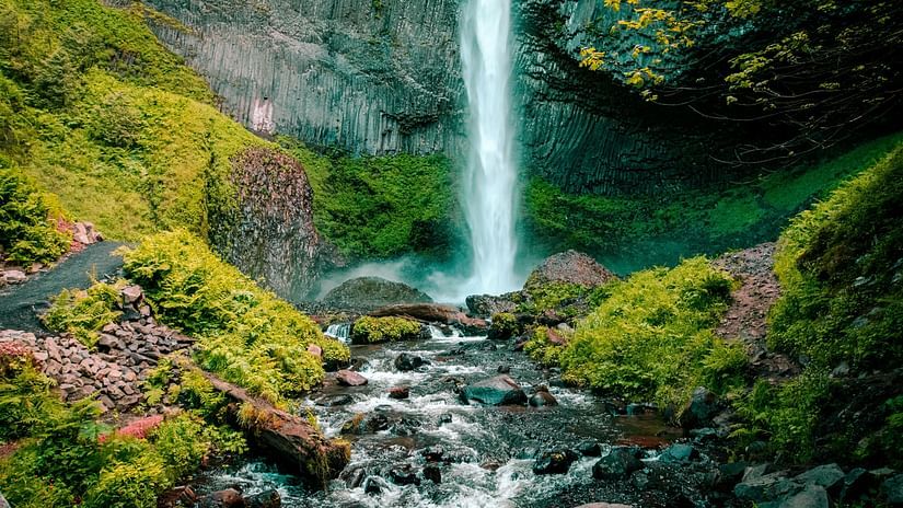 A striking waterfall plunging from a height, surrounded by moss-covered rocks and vibrant greenery.pexels-jmeyer1220-612999 (1)