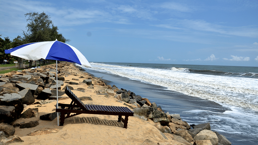 Sapphire Club Cherai Beach Villa Kochi Around Sapphire Club Cherai Beach Villa 3