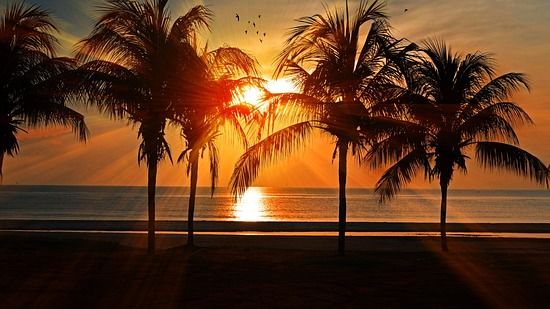 beach,  chariot beach resort