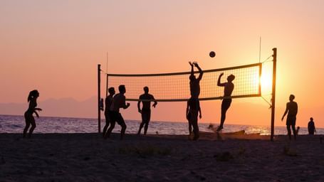 An image of group of friends enjoying volleyball by the beach during a sunset