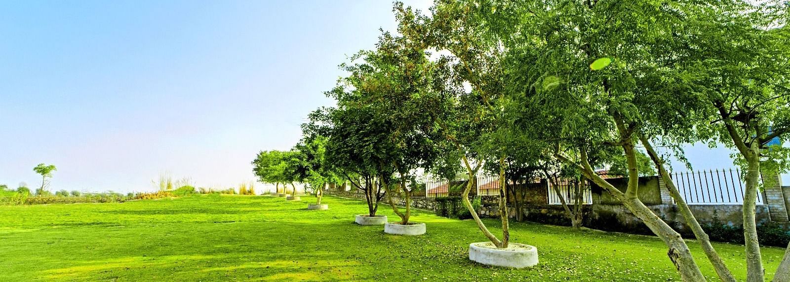 Lush garden area at Grassfield Riveria Resort, Jaipur, with well-maintained lawns and trees under a clear sky.