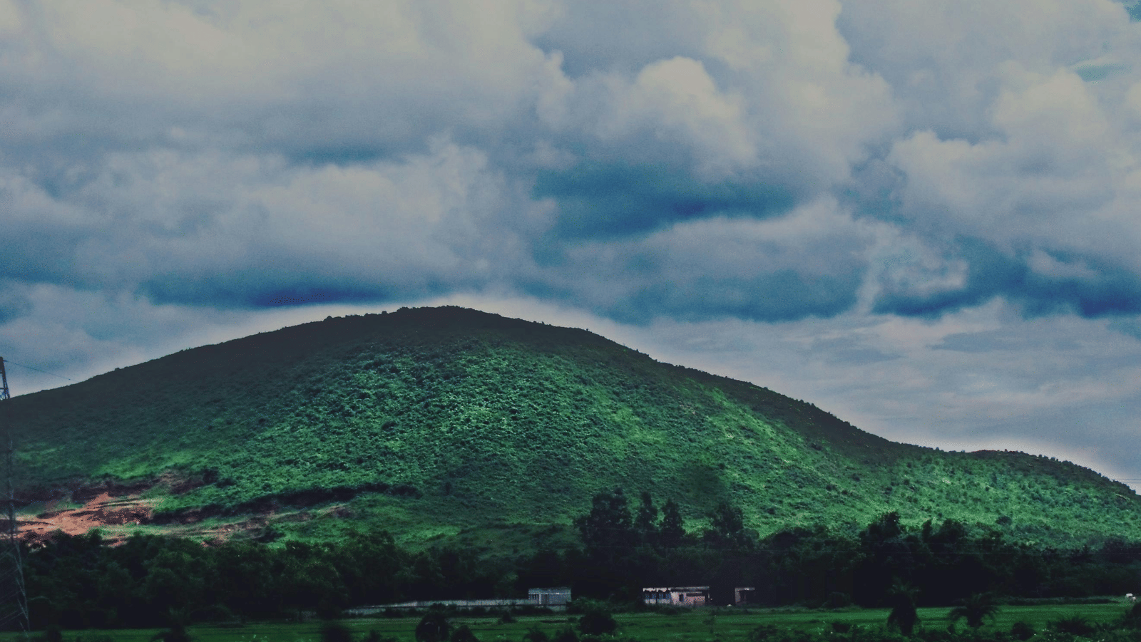 pexels-meghna-das-470519-1316541