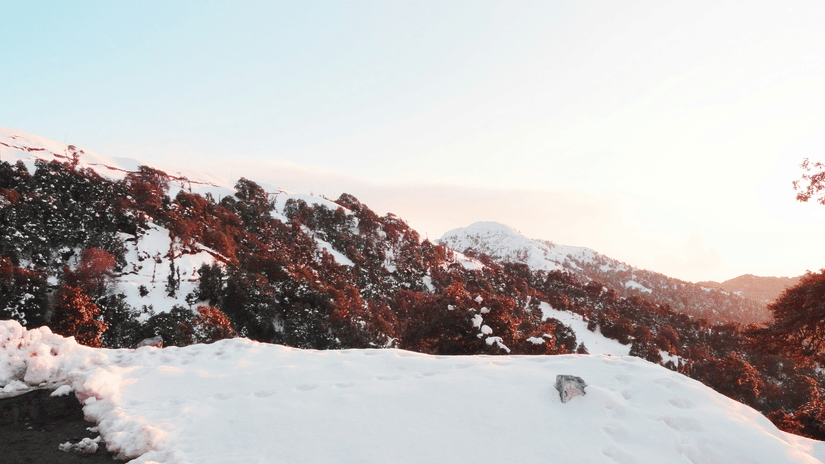 parmjit-singh-WI4 abzpIEE-unsplash