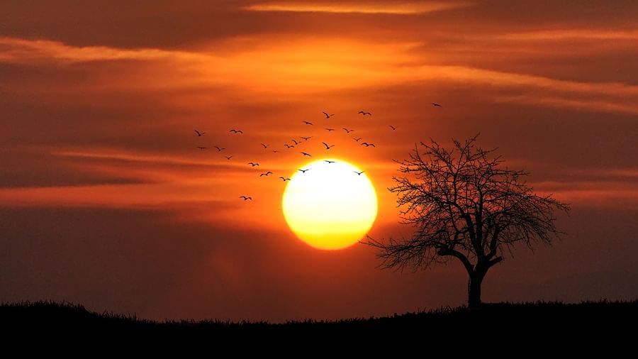 Mesmerising sunset in Udaipur with birds flying in front of the sun
