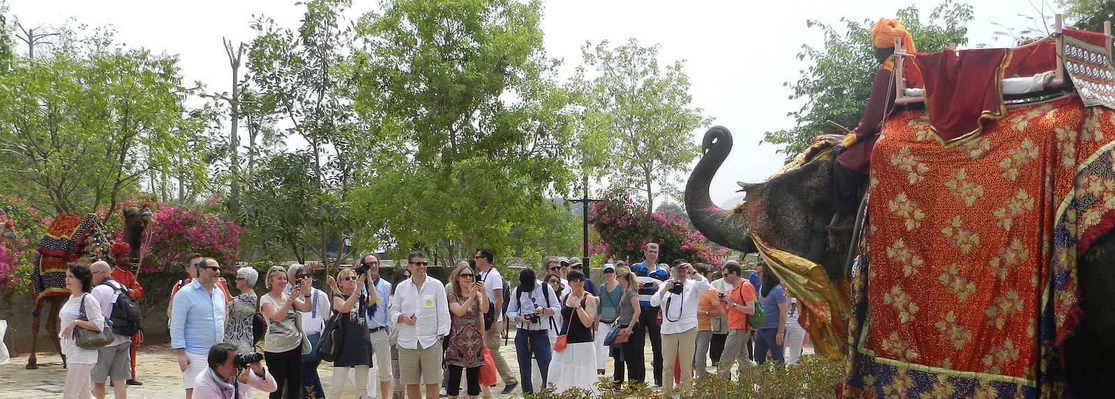 Guests gather outdoors for a royal welcome, with a traditionally decorated elephant - Khas Bagh, Jaipur.