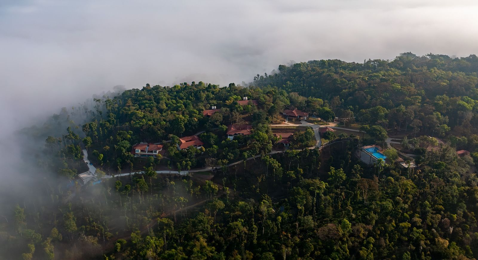 DJI 0481-Enhanced-NR