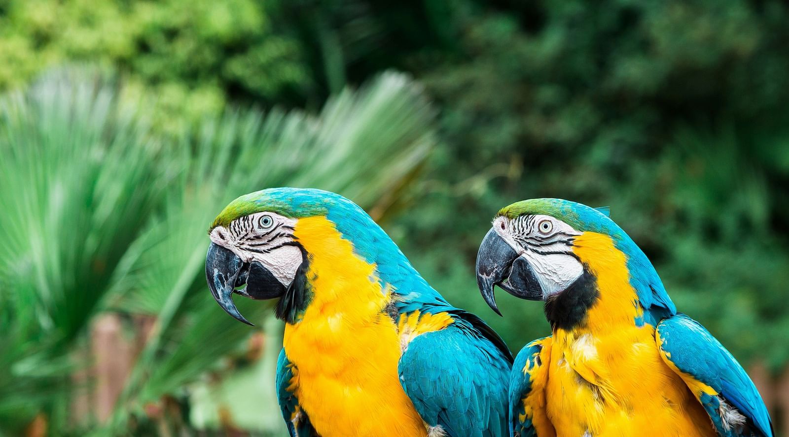 bruno-martins-BYY rYlZOkI-unsplash