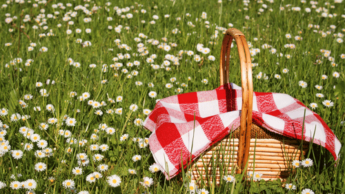 Picnic Lunch at Aloha On the Ganges Rishikesh Resort and Hotel Rishikesh