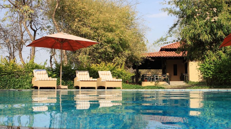 Swimming Pool at Infinity Resorts Bandhavgarh, Hotels in Madhya Pradesh 2