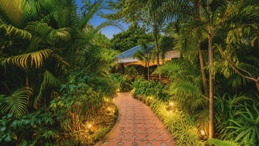 Garden pathway lit at dusk winding through dense tropical foliage towards a gazebo at MAYFAIR Oasis Resort & Convention, Jharsuguda.