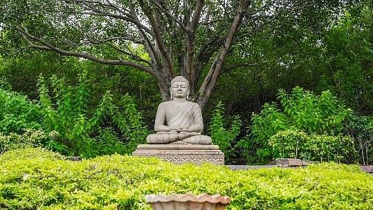 A peaceful garden setting featuring a Buddha Statue surrounded by greenery