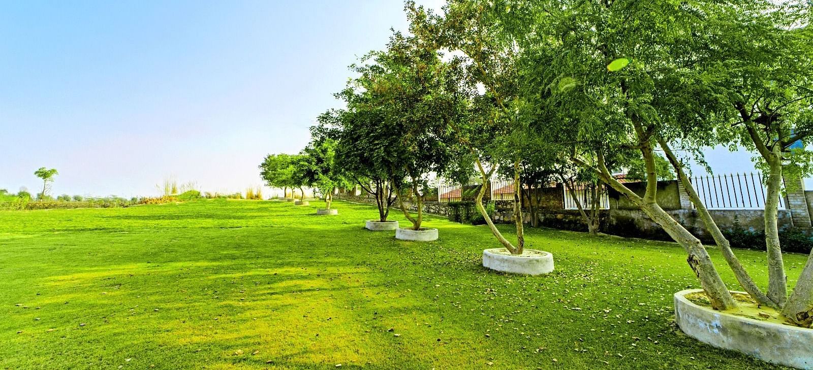 Lush garden area at Grassfield Riveria Resort, Jaipur, with well-maintained lawns and trees under a clear sky.