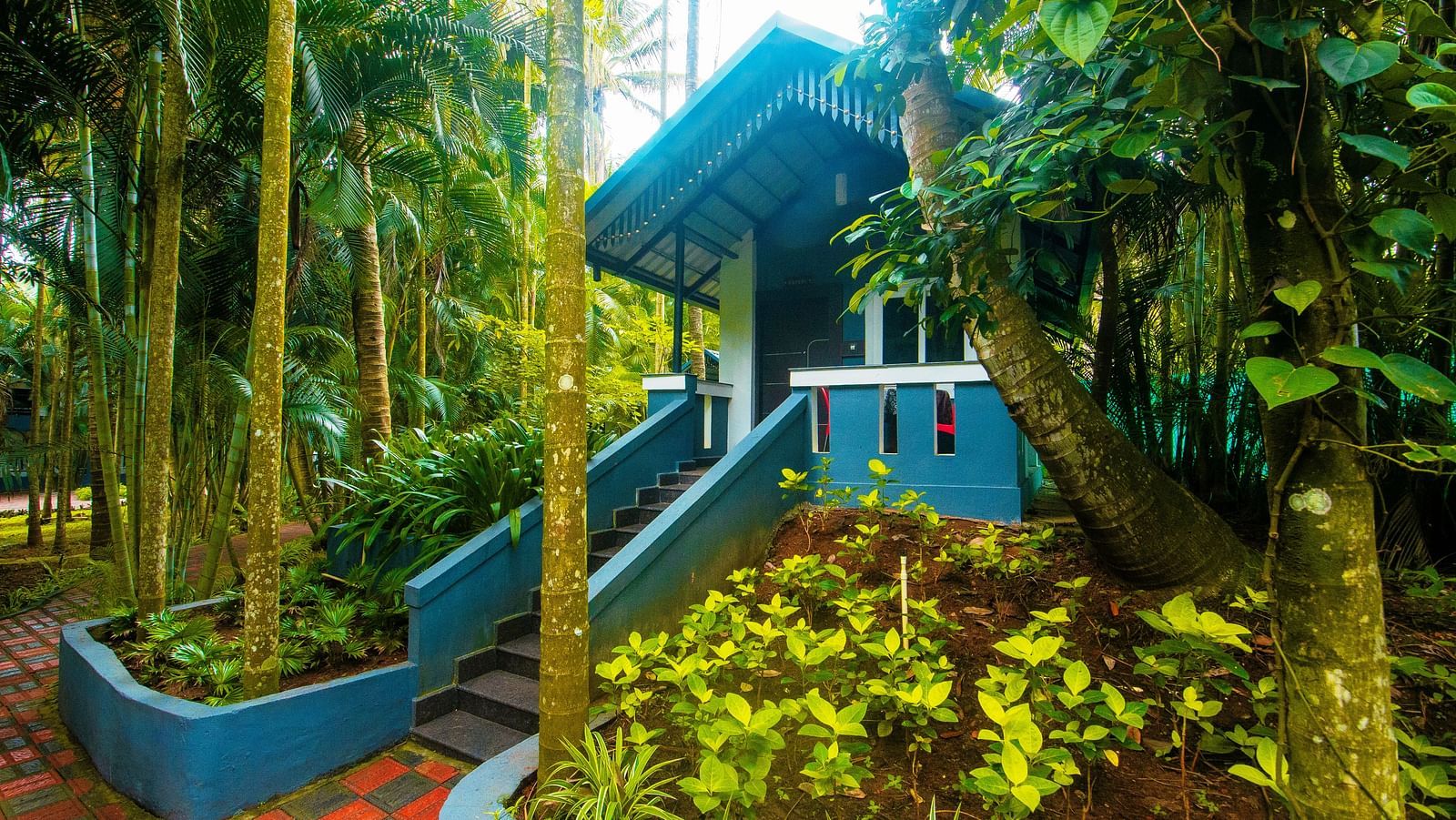 Facade of an accommodation surrounded by lush greenery.