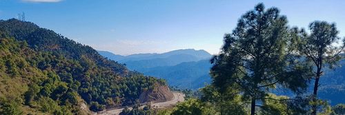 A winding mountain road surrounded by lush green pine trees, with distant hills and a clear blue sky in the background