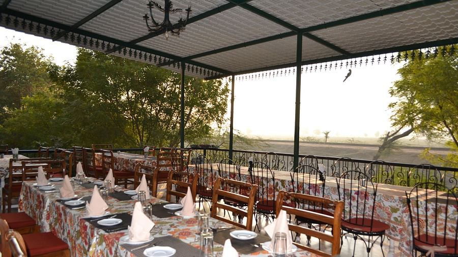 Umaid Palace Dausa  Deck