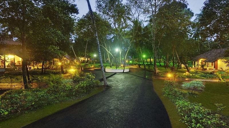 abad-turtle-beautiful-garden-road