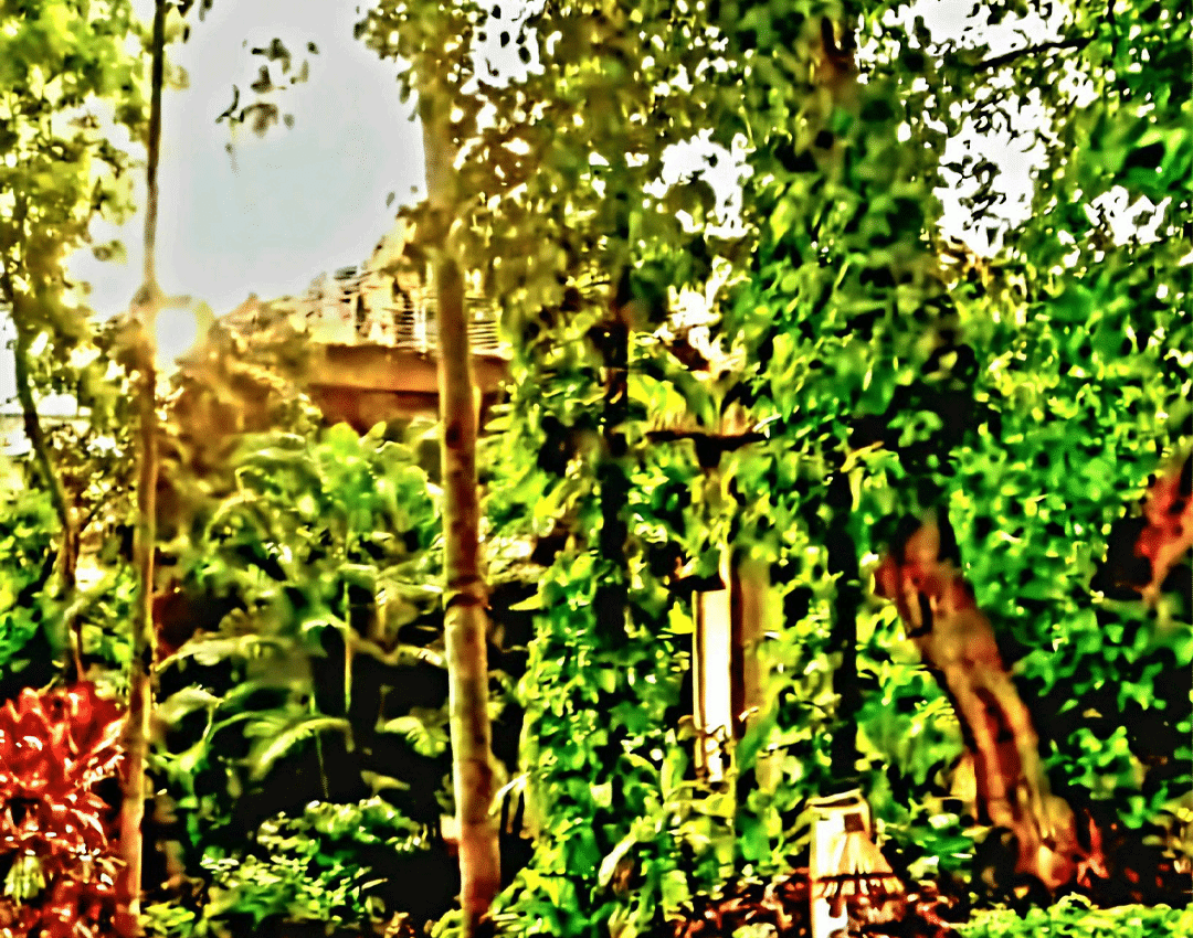 A sunlit, lush garden pathway leading to a resort building at the Vedic Village Spa Resort.
