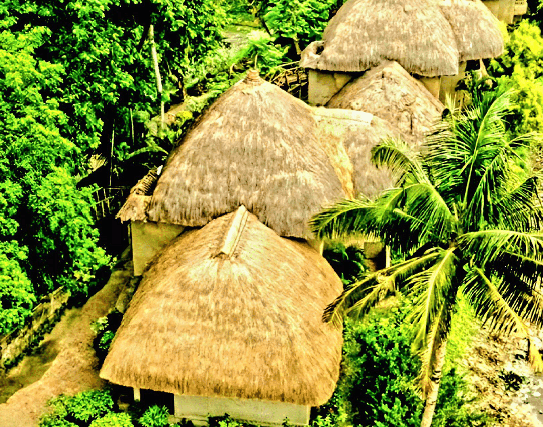 An aerial view of a cluster of traditional thatched-roof huts nestled among dense greenery at the Vedic Village Spa Resort.