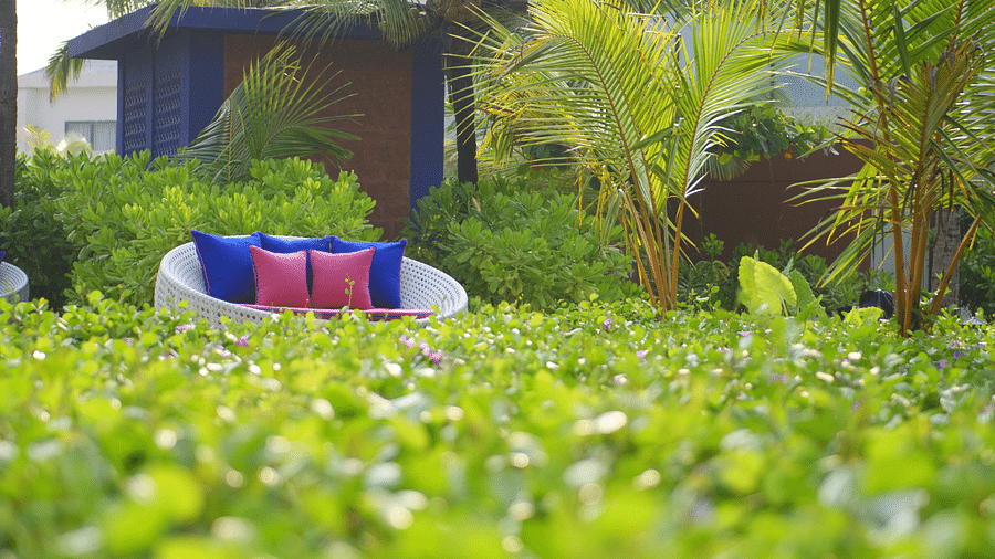the garden sitting area at Cerulean, one of the best Benaulim restaurants 7