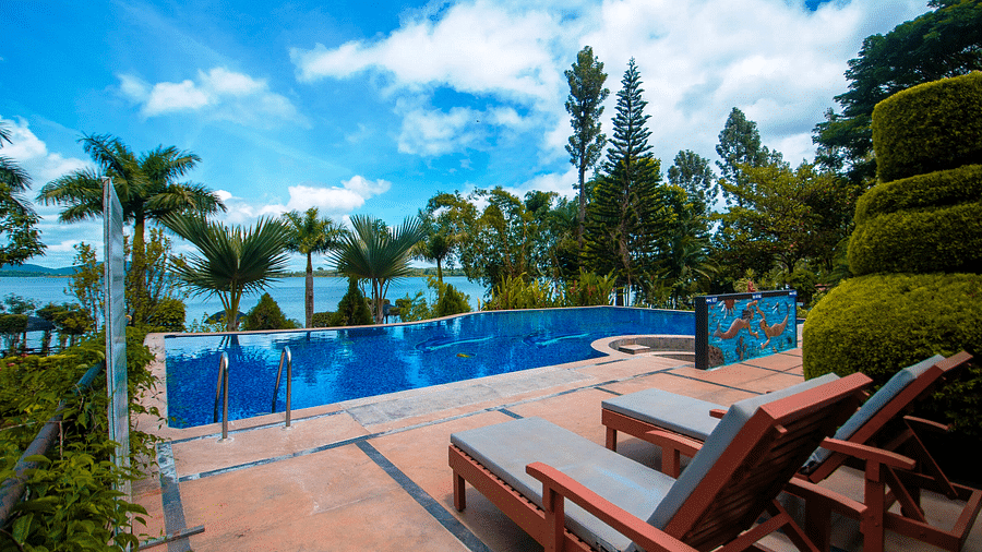 Image of a swimming pool with lounge chairs on the side at Coorg Jungle Camp.