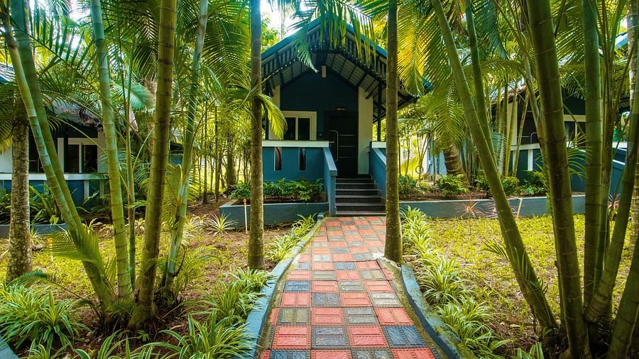 Image of a footpath surrounded by trees and plants at Parampara Resort & Spa, Kushalnagar.