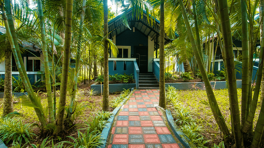 A footpath surrounded by trees and plants at Parampara Resort & Spa, Kushalnagar.
