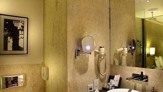 Deluxe Room Park Plaza East Delhi 2