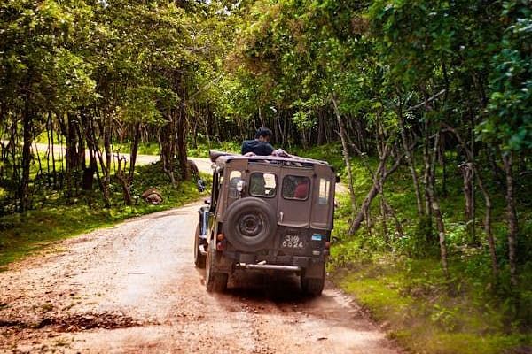 A small vehicle driving along a dirt track through a wooded area.