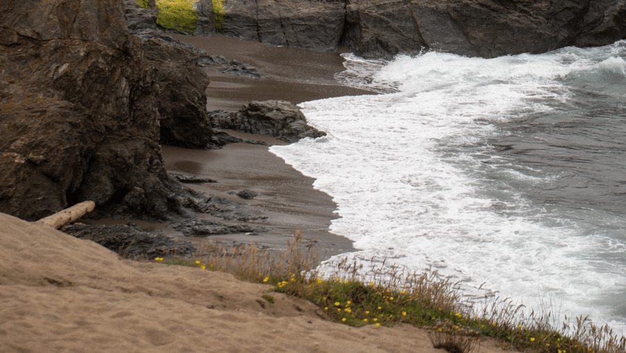 38-mendocino-coast-sea-cliffs-hidden-cove-beach-and-surf