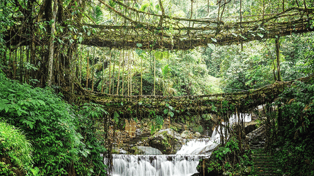 Double-decker living root bridge in a Meghalaya rainforest with woven roots, mossy rocks, a small waterfall and a clear stream below.